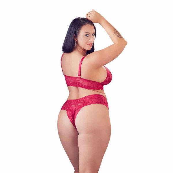 Cottelli Plus Size Red Lace Bra And Briefs 2