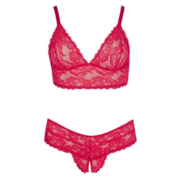 Cottelli Plus Size Red Lace Bra And Briefs 3