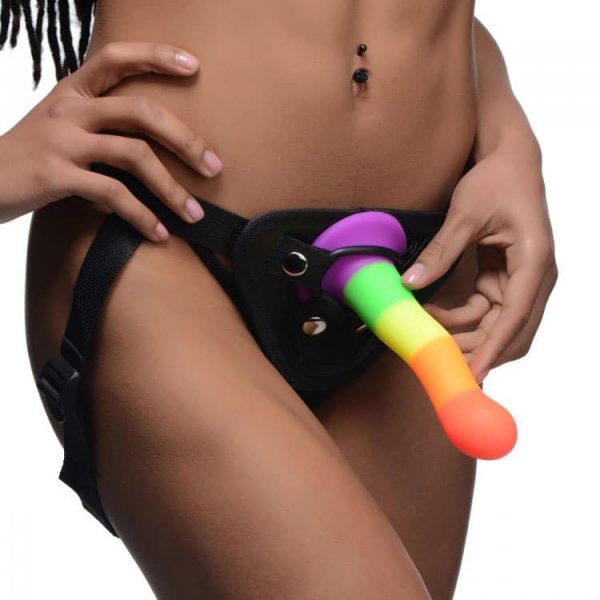 Proud Rainbow Silicone Dildo with Harness 2