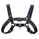 Ouch Chest Bulldog Harness Small To Medium (Blue) - No Model
