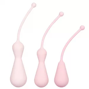 Inspire Weighted Silicone Kegel Training Kit