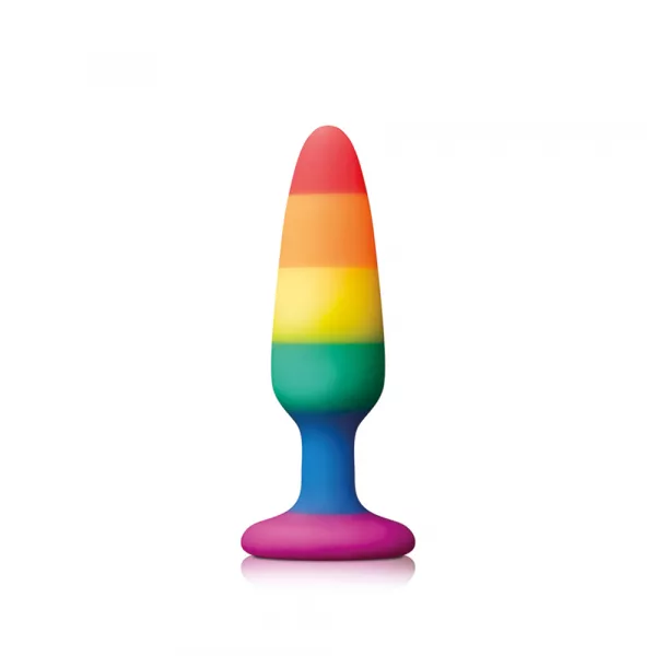 Pride Pleasure Plug Rainbow Small