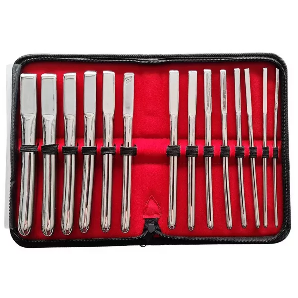 Rouge Garments Hegar 14 Piece Uterine Dilator Set